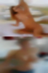 Swingers nudists Morgantown