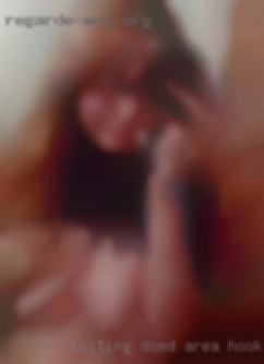 Visiting DC/MD area hookers NSA Bakersfield once a week or so.